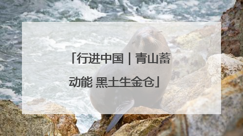 行进中国｜青山蓄动能 黑土生金仓