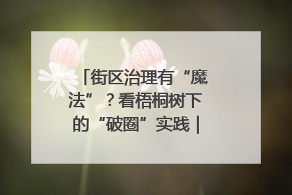 街区治理有“魔法”？看梧桐树下的“破圈”实践｜我在街区当书记