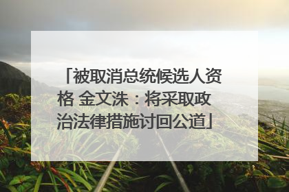 被取消总统候选人资格 金文洙：将采取政治法律措施讨回公道