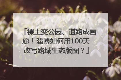 裸土变公园、道路成画廊！淄博如何用100天改写路域生态版图？