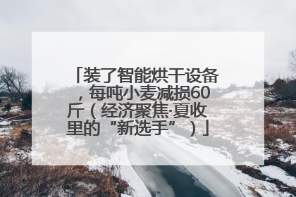 装了智能烘干设备，每吨小麦减损60斤（经济聚焦·夏收里的“新选手”）
