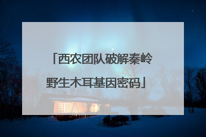 西农团队破解秦岭野生木耳基因密码