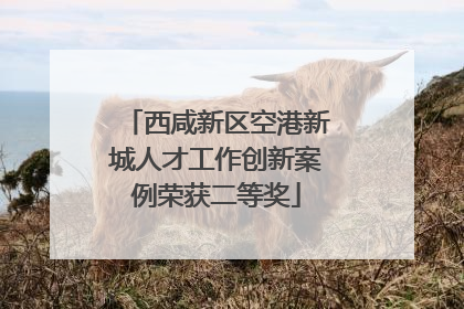 西咸新区空港新城人才工作创新案例荣获二等奖