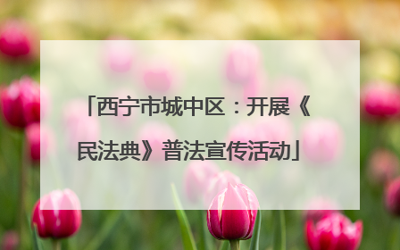 西宁市城中区：开展《民法典》普法宣传活动
