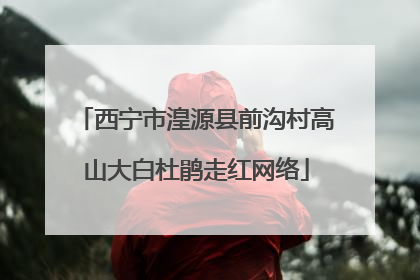 西宁市湟源县前沟村高山大白杜鹃走红网络