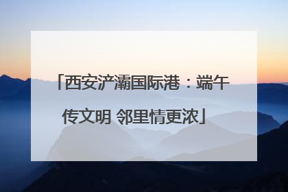西安浐灞国际港：端午传文明 邻里情更浓