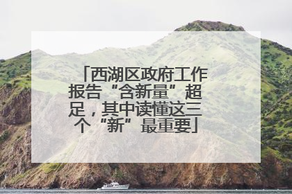西湖区政府工作报告“含新量”超足，其中读懂这三个“新”最重要
