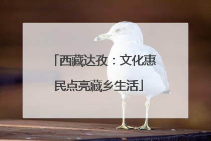 西藏达孜：文化惠民点亮藏乡生活