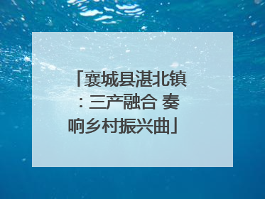 襄城县湛北镇：三产融合 奏响乡村振兴曲