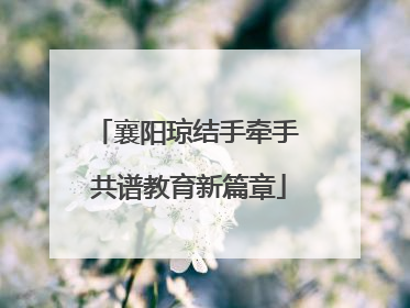 襄阳琼结手牵手 共谱教育新篇章