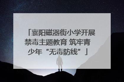 襄阳磁器街小学开展禁毒主题教育 筑牢青少年“无毒防线”