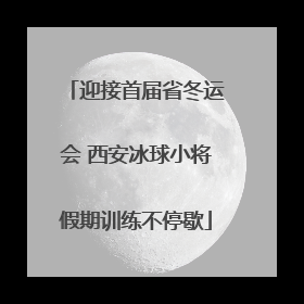 迎接首届省冬运会 西安冰球小将假期训练不停歇