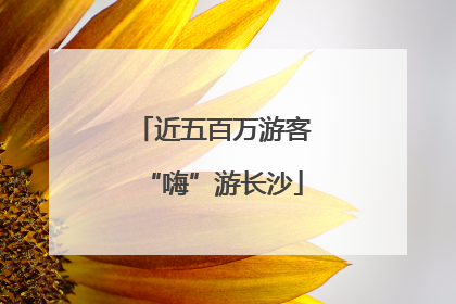 近五百万游客“嗨”游长沙