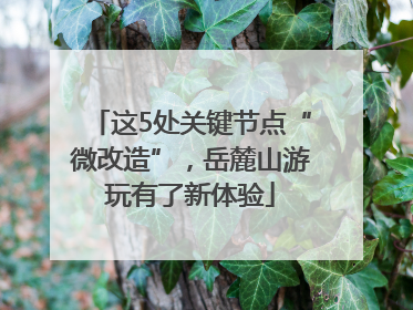 这5处关键节点“微改造”，岳麓山游玩有了新体验