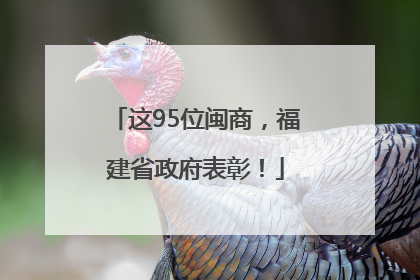 这95位闽商，福建省政府表彰！