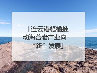 连云港赣榆推动海苔老产业向“新”发展