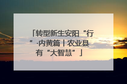 转型新生安阳“行”·内黄篇丨农业县有“大智慧”