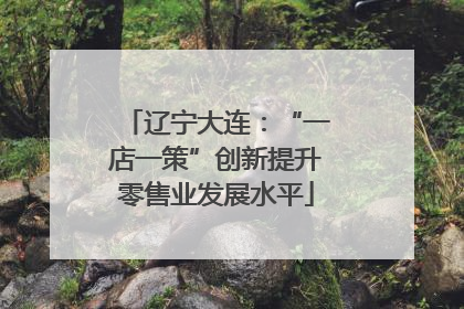 辽宁大连：“一店一策”创新提升零售业发展水平