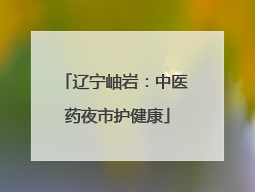 辽宁岫岩：中医药夜市护健康