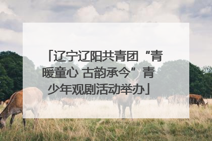辽宁辽阳共青团“青暖童心 古韵承今”青少年观剧活动举办