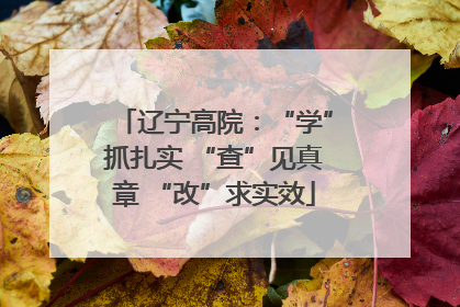 辽宁高院：“学”抓扎实 “查”见真章 “改”求实效