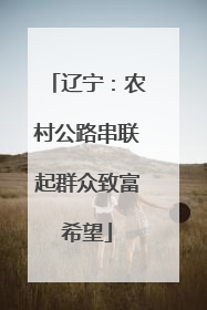 辽宁：农村公路串联起群众致富希望