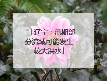 辽宁：汛期部分流域可能发生较大洪水
