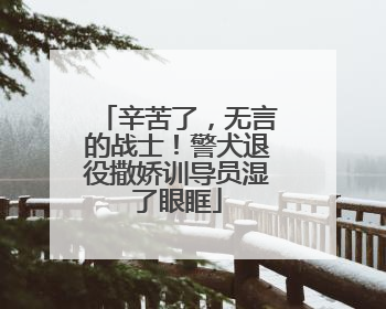 辛苦了，无言的战士！警犬退役撒娇训导员湿了眼眶