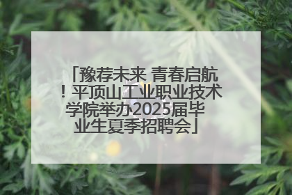 豫荐未来 青春启航！平顶山工业职业技术学院举办2025届毕业生夏季招聘会