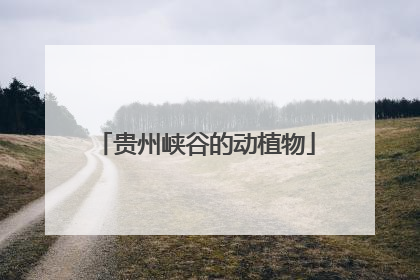 贵州峡谷的动植物