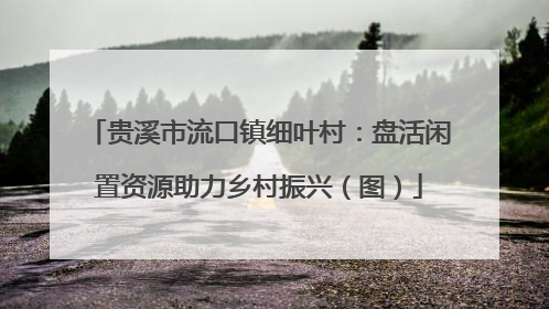 贵溪市流口镇细叶村：盘活闲置资源助力乡村振兴（图）