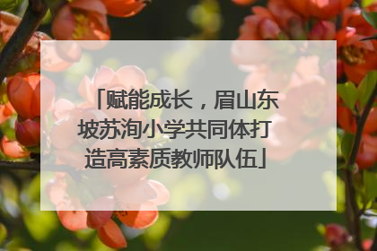 赋能成长，眉山东坡苏洵小学共同体打造高素质教师队伍