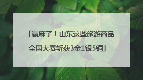 赢麻了！山东这些旅游商品全国大赛斩获3金1银5铜