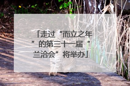 走过“而立之年”的第三十一届“兰洽会”将举办