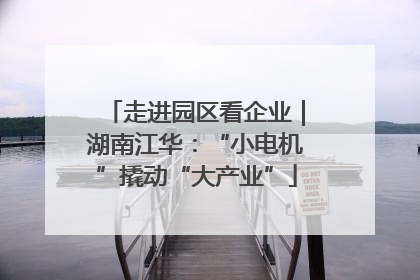 走进园区看企业｜湖南江华：“小电机”撬动“大产业”