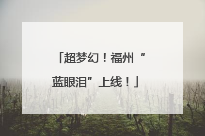 超梦幻！福州“蓝眼泪”上线！