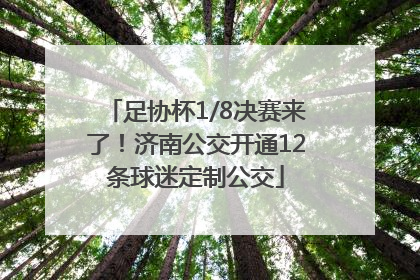 足协杯1/8决赛来了！济南公交开通12条球迷定制公交