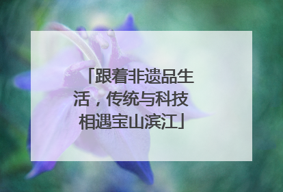 跟着非遗品生活，传统与科技相遇宝山滨江