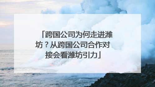 跨国公司为何走进潍坊？从跨国公司合作对接会看潍坊引力