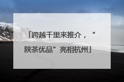 跨越千里来推介，“陕茶优品”亮相杭州