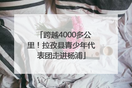 跨越4000多公里！拉孜县青少年代表团走进杨浦