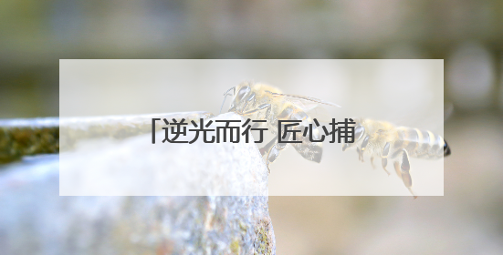 逆光而行 匠心捕韵——淄博高新区老年大学户外课堂解码光影美学密码