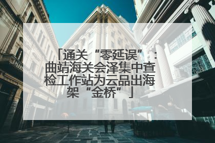 通关“零延误”：曲靖海关会泽集中查检工作站为云品出海架“金桥”