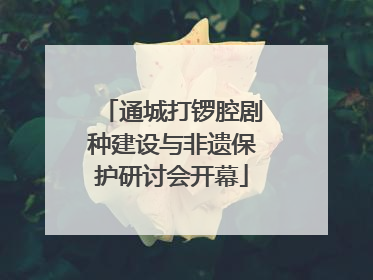 通城打锣腔剧种建设与非遗保护研讨会开幕