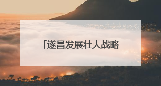 遂昌发展壮大战略性新兴产业 龙头引领 集群共进