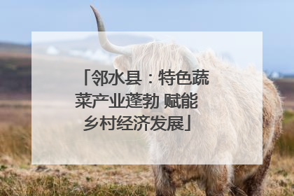 邻水县：特色蔬菜产业蓬勃 赋能乡村经济发展