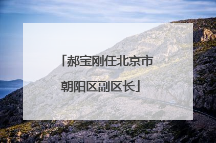 郝宝刚任北京市朝阳区副区长