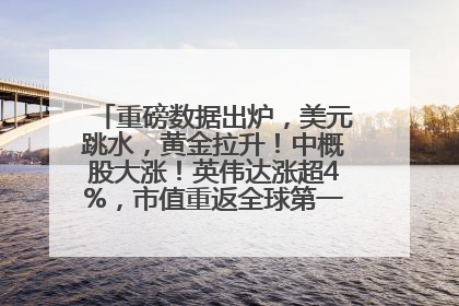 重磅数据出炉，美元跳水，黄金拉升！中概股大涨！英伟达涨超4%，市值重返全球第一！黄仁勋计划出售至多600万股股票