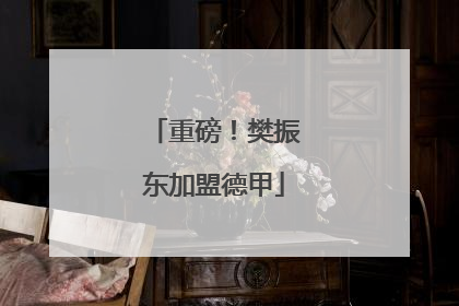 重磅！樊振东加盟德甲