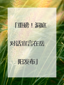 重磅！洞庭对话宣言在岳阳发布